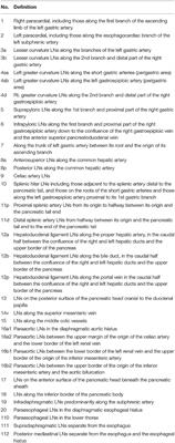 Techniques and Current Role of Sentinel Lymph Node (SLN) Concept in Gastric Cancer Surgery